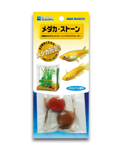 メダカ･ストーン