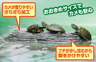 カメの浮き島M/L
