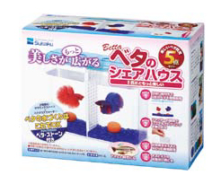 ベタのシェアハウス