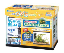 メダカファミリーS