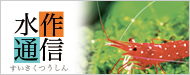 水作通信