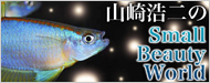 山崎浩二のSmallBeautyWorld