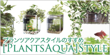プランツアクアスタイルのすすめ