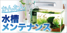 かんたん水槽メンテナンス