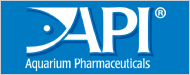 API&reg;