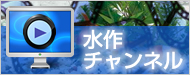水作チャンネル