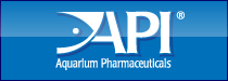API&reg;