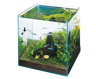 水草 水草育成グッズ Co2 水作株式会社