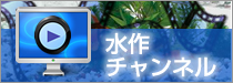水作チャンネル