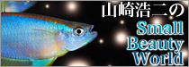 山崎浩二のSmallBeautyWorld