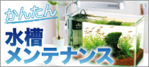 かんたん水槽メンテナンス