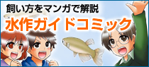 水作ガイドコミック