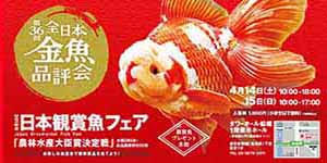 全日本観賞魚フェア