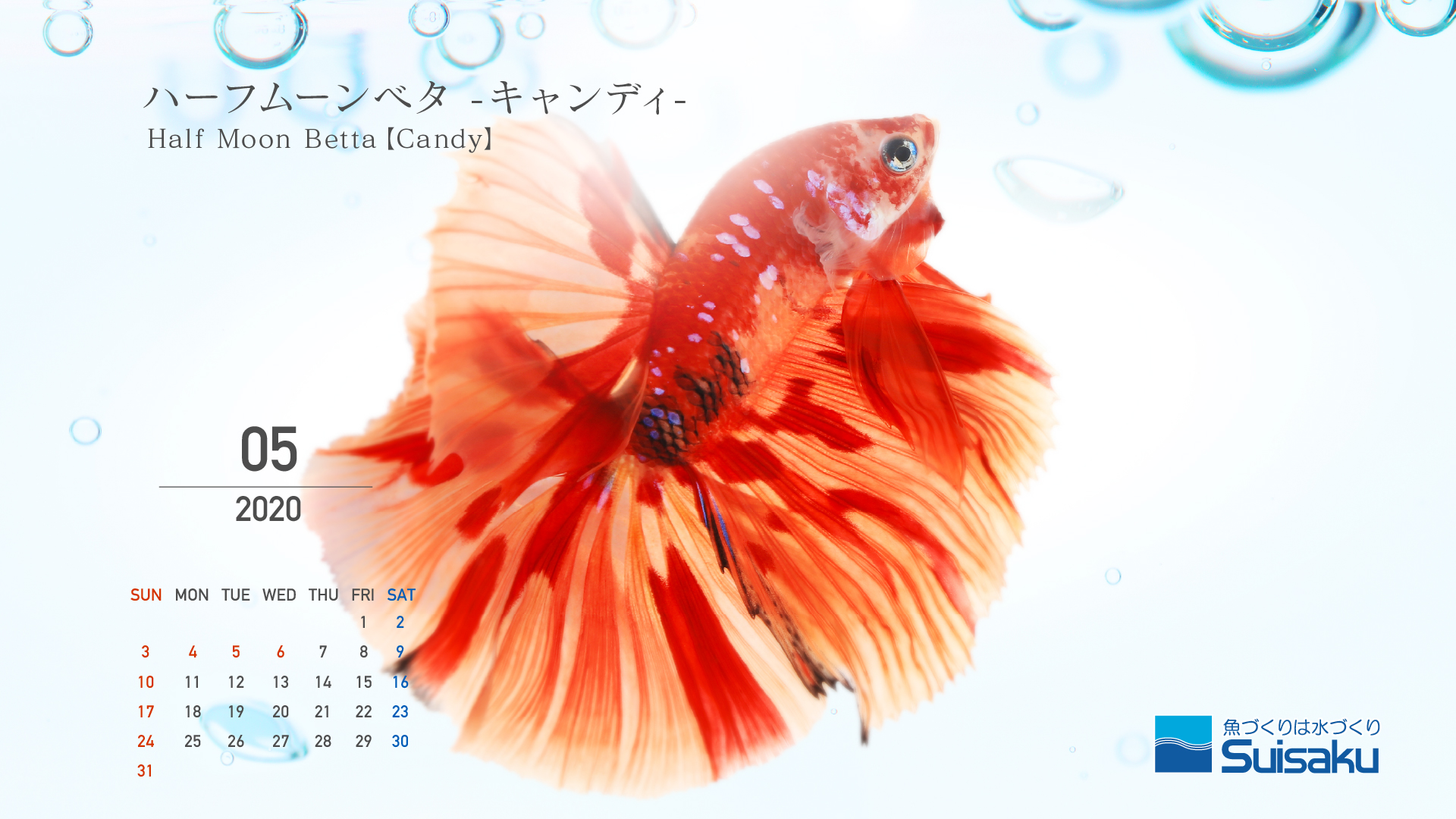 森岡篤のアートカレンダー年5月 魚づくりは水作り 水作株式会社