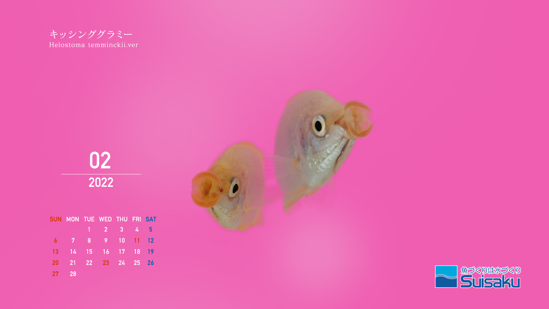 森岡篤のアートカレンダー22年2月 魚づくりは水作り 水作株式会社