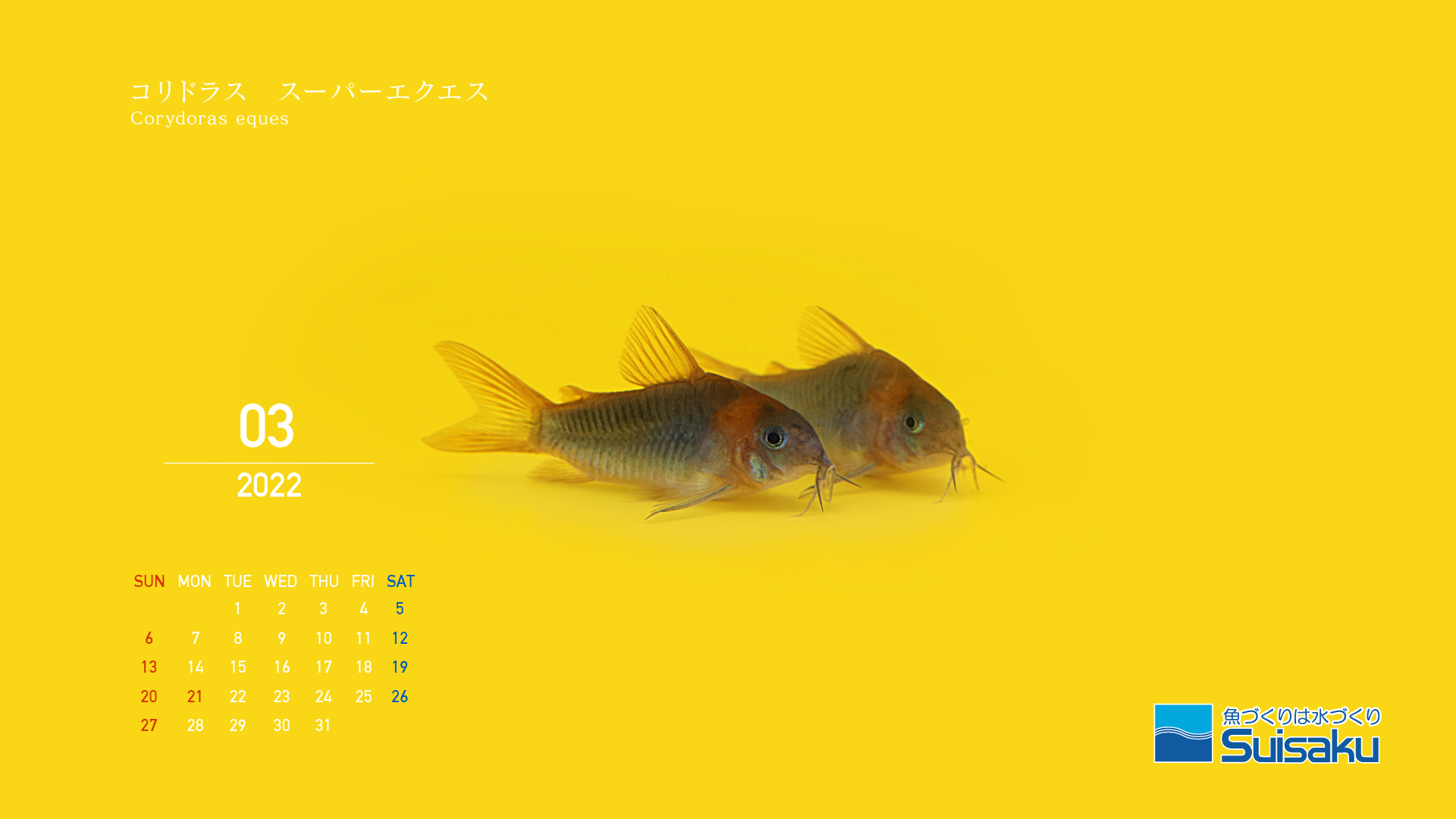 森岡篤のアートカレンダー22年3月 魚づくりは水作り 水作株式会社