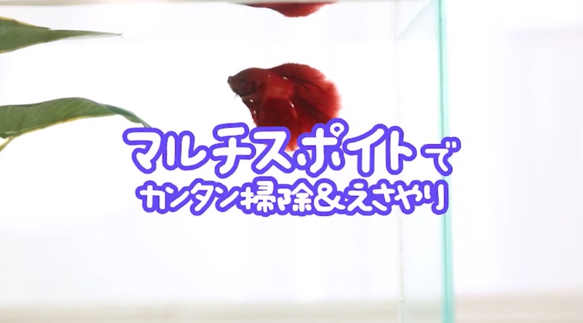 商品紹介動画3