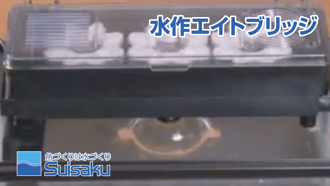 メンテナンス動画2