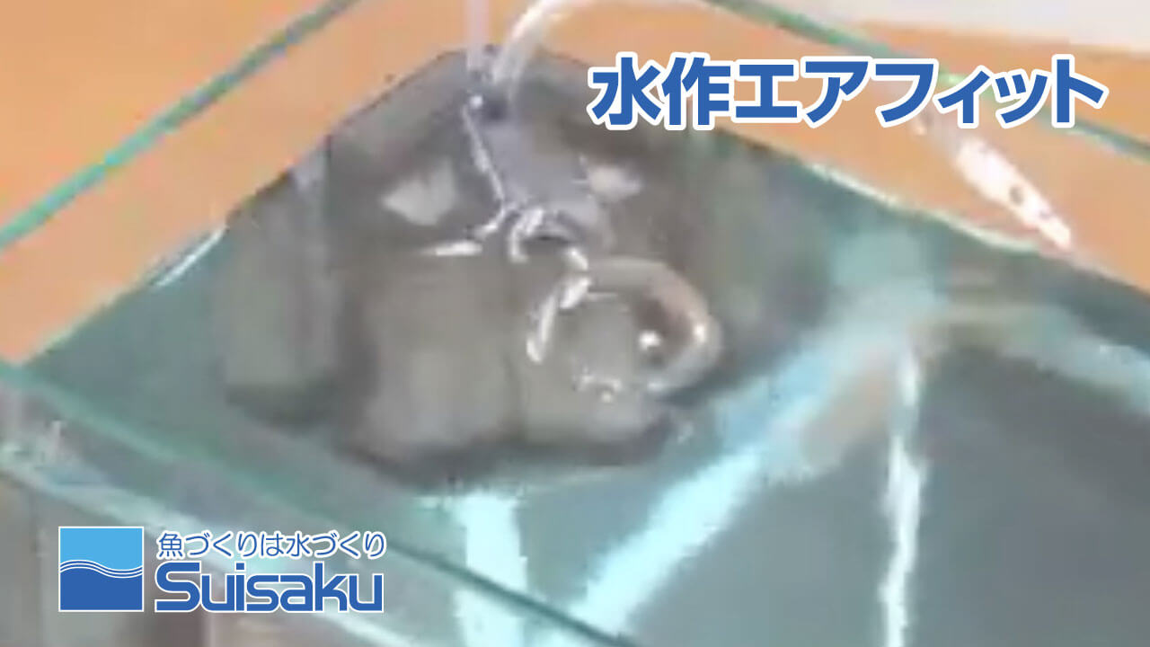 メンテナンス動画2