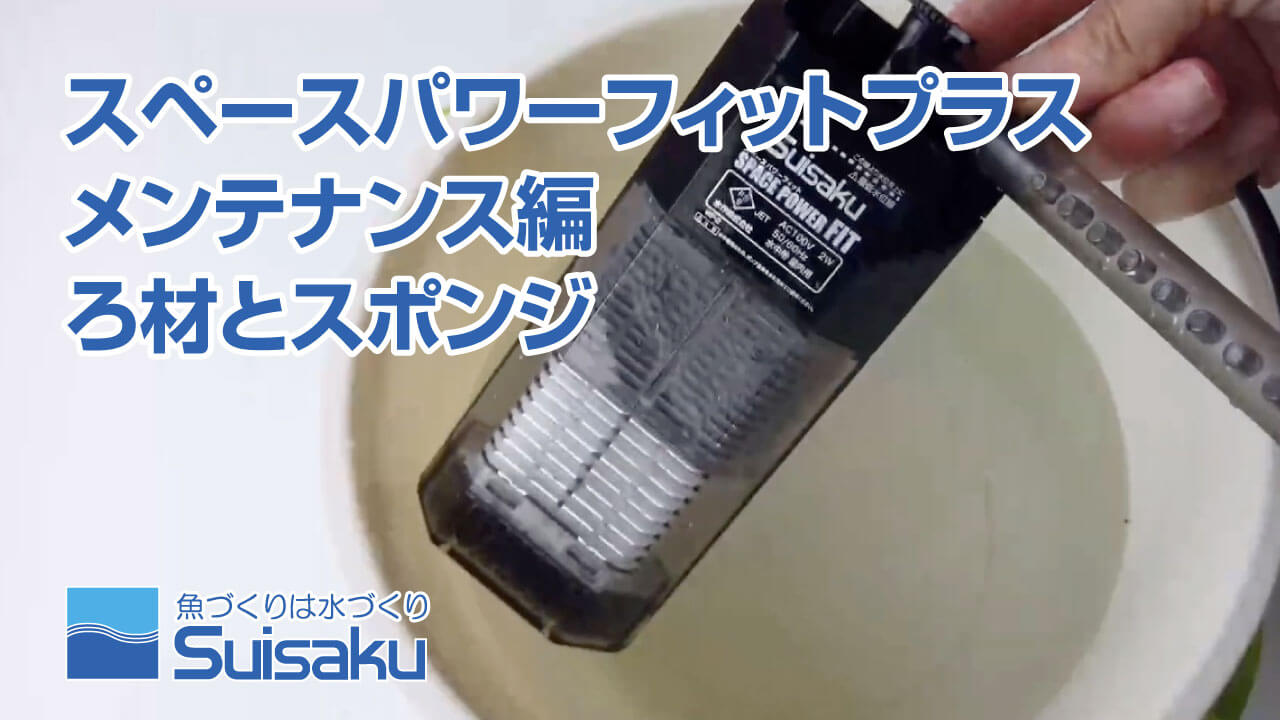 メンテナンス動画2